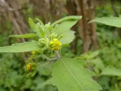 友博官网 -a婼墶>?t潲嶀福憜㏄豨 